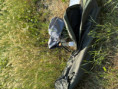 /album/fotogalerie-korozlucka-udice-cerven-2026/img-0854-jpeg/