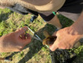 /album/fotogalerie-korozlucka-udice-cerven-2026/img-0861-jpeg/