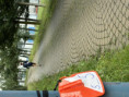 /album/fotogalerie-korobeh-pro-deti-2026/img-1375-jpeg/