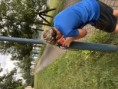 /album/fotogalerie-korobeh-pro-deti-2026/img-1378-jpeg/